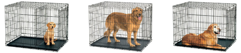 dog crates with dividers