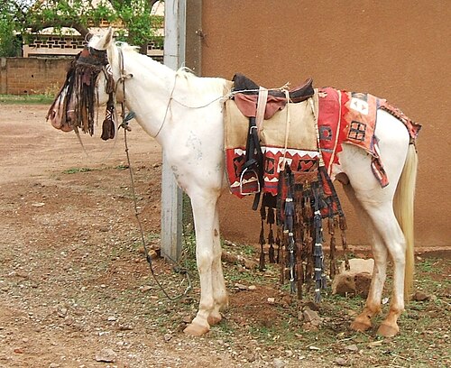 Bobo horse
