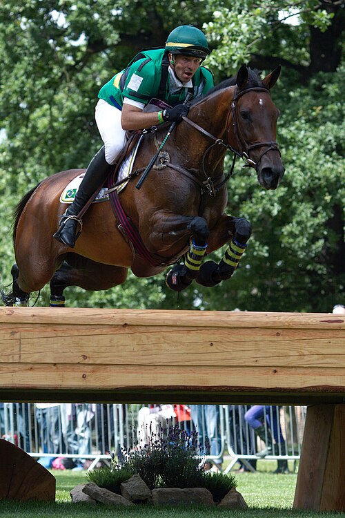 Brazilian Sport Horse