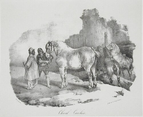 Cauchois horse