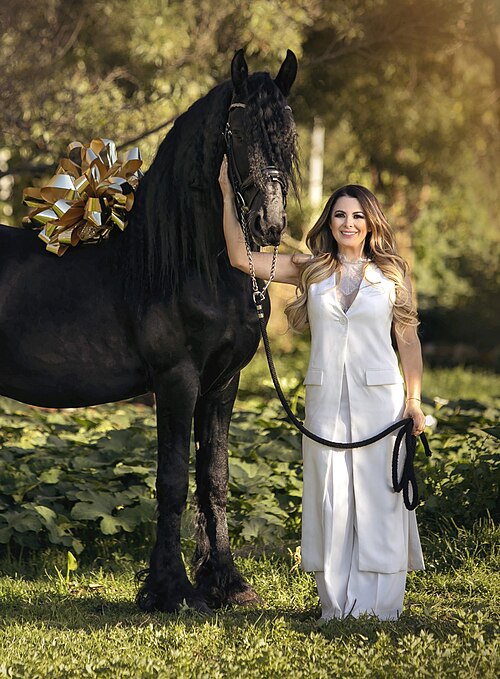 Friesian horse