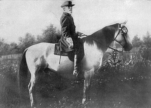 Georgian Grande Horse