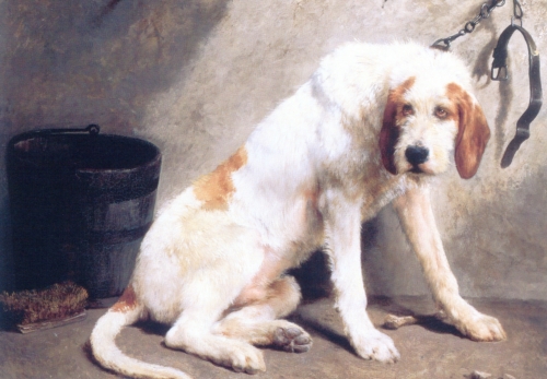 Grand Griffon Vendéen