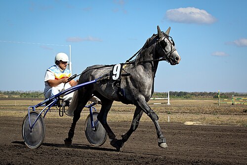 Orlov Trotter