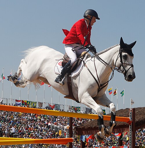 Swedish Warmblood