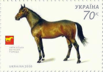 Ukrainian Riding Horse