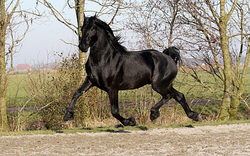 Warlander