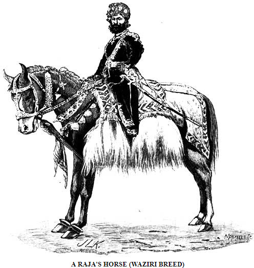 Waziri