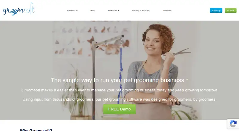 The Groomsoft homepage