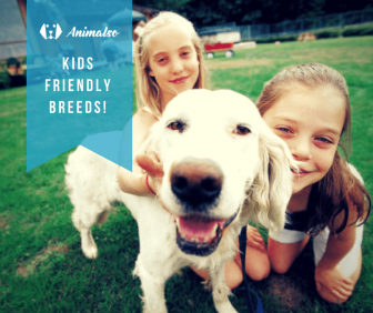kids friendly dog breeds