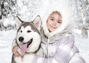 Five month old malamute puppy with a little girl