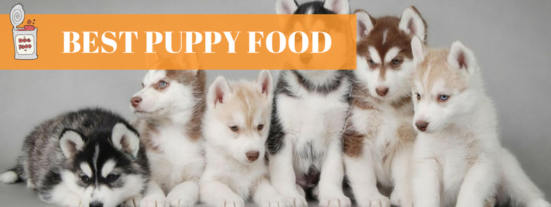 good affordable puppy food