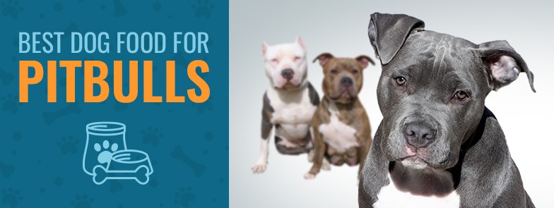 5 Best Dog Food For Pitbulls in 2021 - Animalso