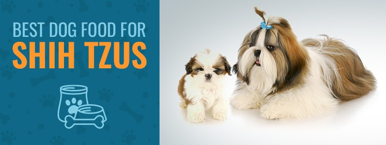 best dog food for shih tzu with skin allergies