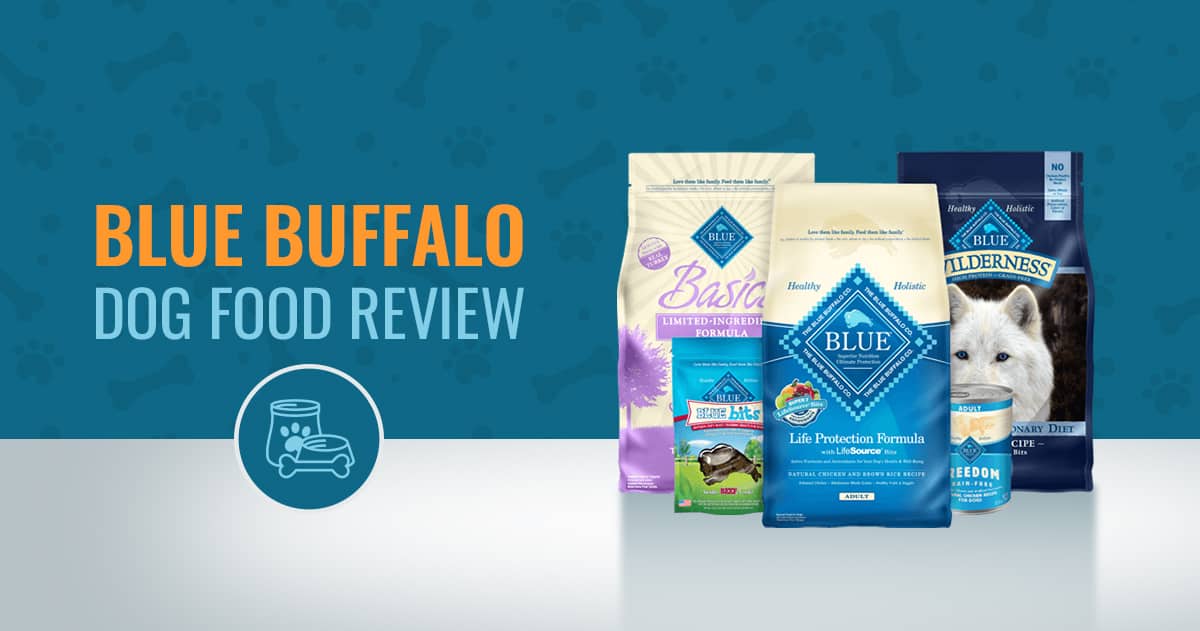 Blue Buffalo Dog Food Review, Recalls & Ingredients Analysis in 2021