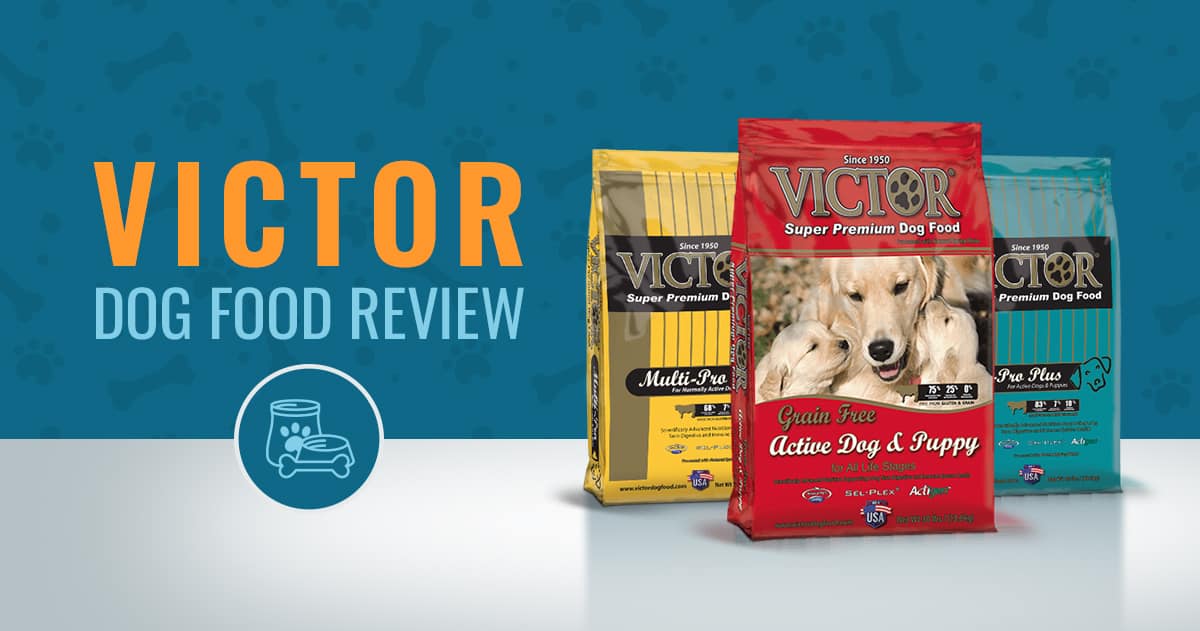 victor professional dog food