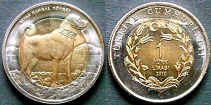 Kangal Turkish coin