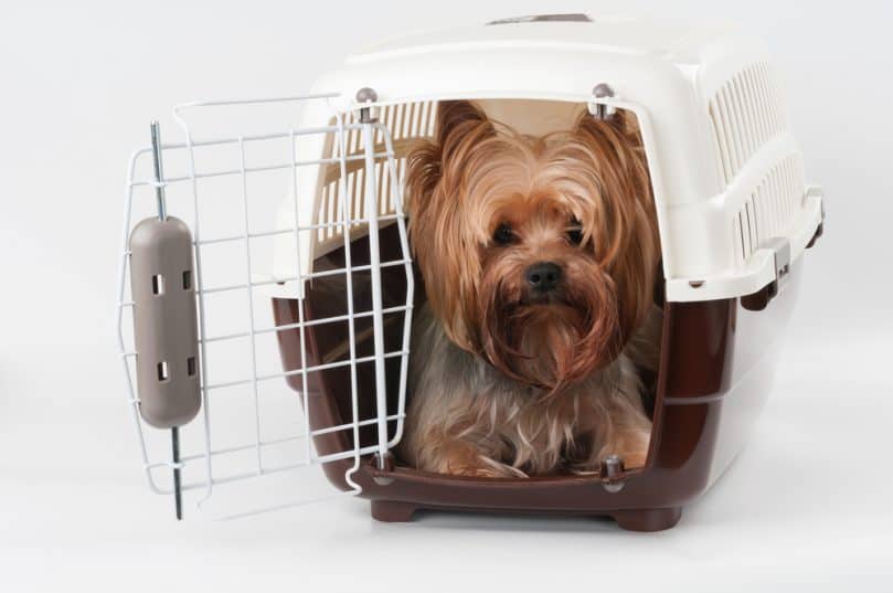 XEMQENER Dog Cage Car Transport Dog cage Aluminium Pet Puppy Travel Kennel Carrier Crate 65 x 91 x 70cm 