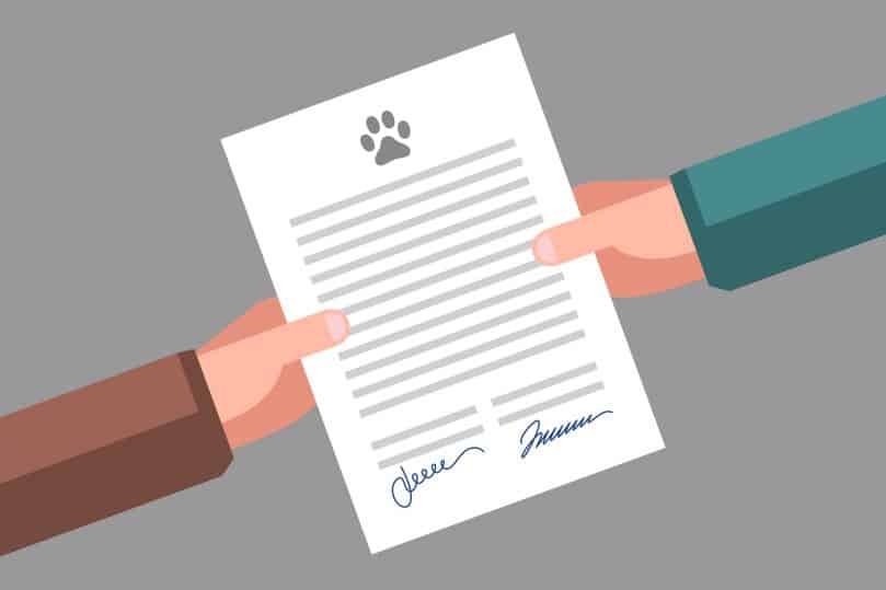 Document in hands. Signing of pet adoption or sale agreement