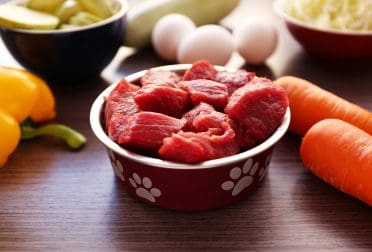 Healthy, raw dog food on wooden background