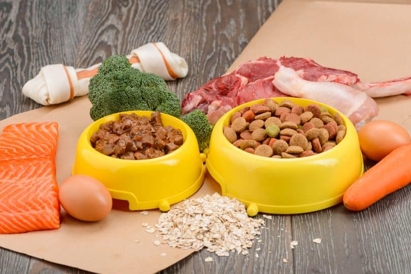Various dog food and raw ingredients on wooden table. Nutrient dense meals made of fish, vegetables, meat, egg and cereal. Yummy and healthy.