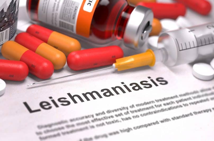 Leishmaniasis in print with syringe and medication