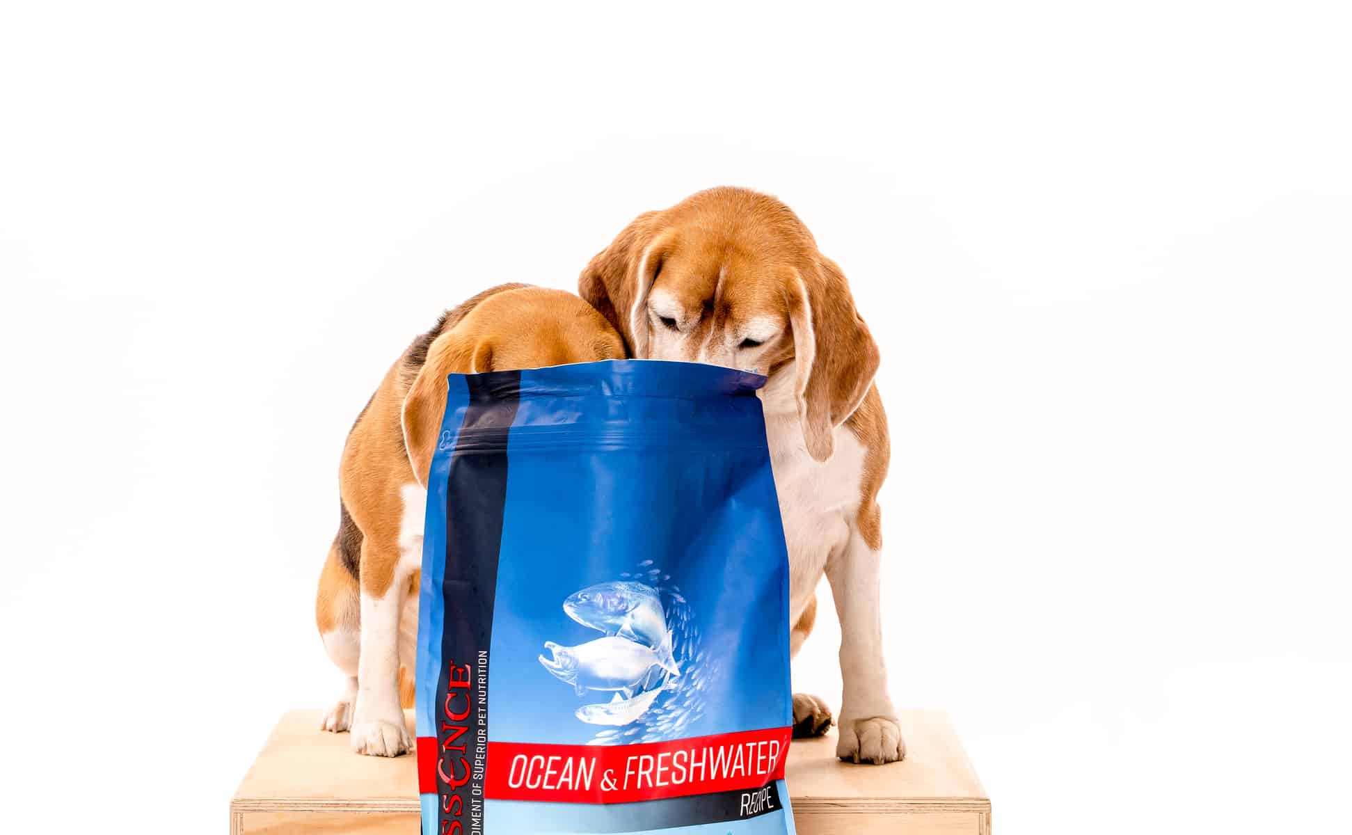 Essence Dog Food Review, Recalls & Ingredients Analysis in 2021 Animalso