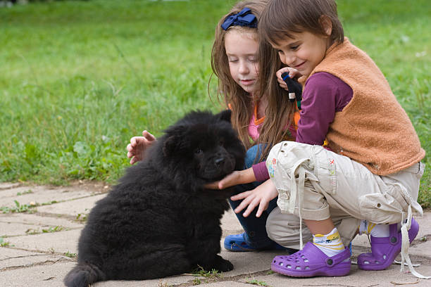 Two Kids with Black Chow Chow